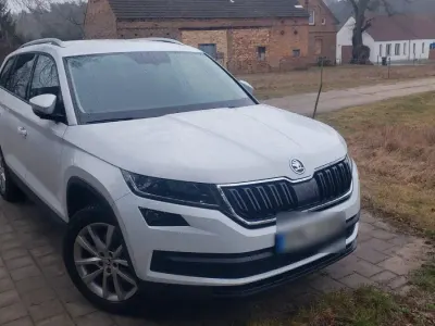 Gebraucht Skoda Kodiaq Ambition 150 PS (110 kW) 2019 Weiß SUV
