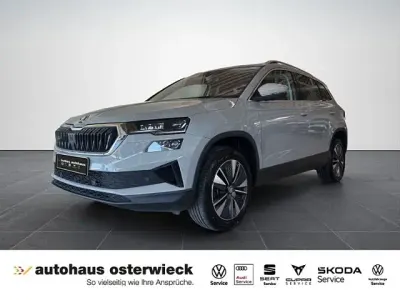 Gebraucht Skoda Karoq Style 150 PS (110 kW) 2023 Grau SUV