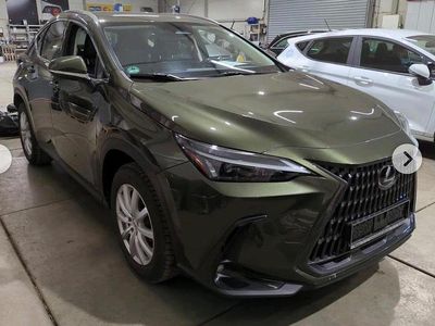 Gebraucht Lexus NX350h 190 PS (139 kW) 2022 Grün SUV