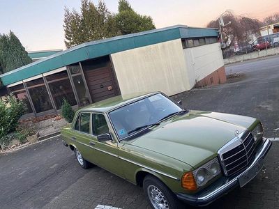 Grün Gebraucht 1979 Mercedes E300 Limousine | 7.999 €