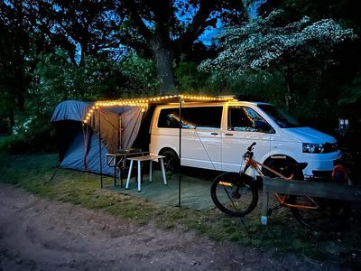 Second-hand VW T5 140 CP (102 kW) 2014 Alb Van