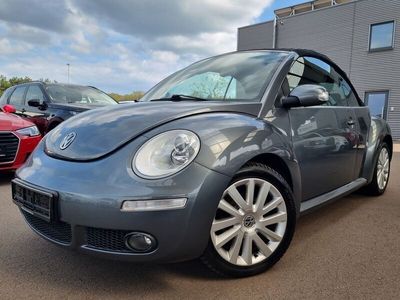 VW Beetle