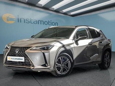 Gebraucht Lexus UX 184 PS (135 kW) 2021 Grau SUV
