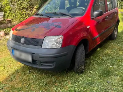 Usata Fiat Panda 54 CV (39 kW) 2009 Rosso Utilitaria