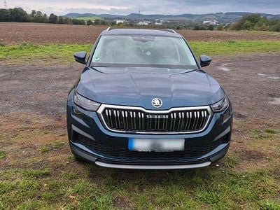 Usata Skoda Kodiaq 150 CV (110 kW) 2024 Blu SUV