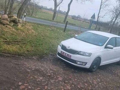 gebraucht Skoda Rapid Service und TÜV NEU!