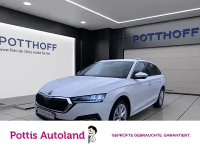 Gebraucht Skoda Octavia Style 116 PS (85 kW) 2023 Candyweiß Kombi