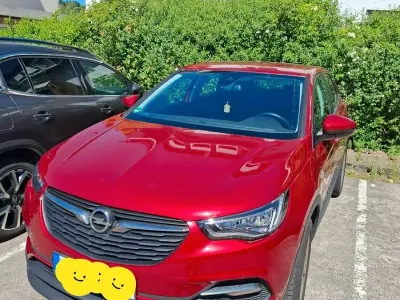 Gebraucht Opel Grandland X Business 131 PS (96 kW) 2020 Rot SUV