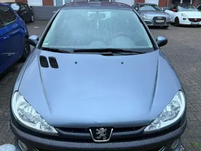 Gebraucht Peugeot 206 Filou 75 PS (55 kW) 2006 Grau