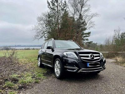 Schwarz Gebraucht 2012 Mercedes GLK220 SUV | 13.499 € (Etwas zu teuer)