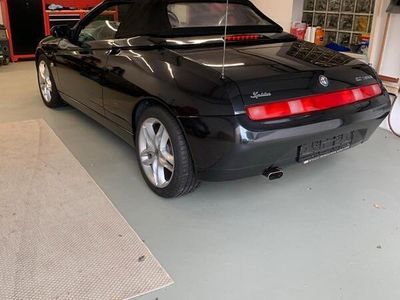 Alfa Romeo Spider