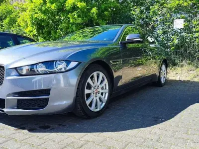 Używany Jaguar XE Pure 179 KM (131 kW) 2015 Sedan/Limuzyna