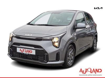 Grau Gebraucht 2024 Kia Picanto Vision Kleinwagen | 17.950 € (Etwas zu teuer)