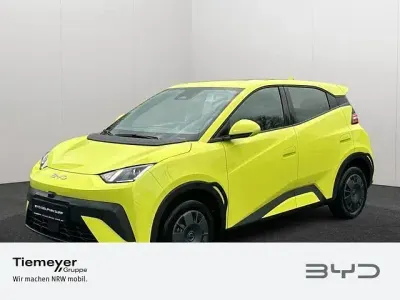 Brugt BYD Dolphin Surf