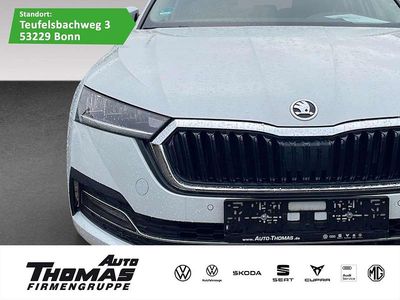 Gebraucht Skoda Octavia Style 110 PS (80 kW) 2023 Moonweiß perleffekt Kombi