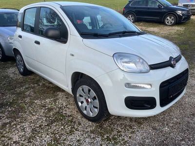 gebraucht Fiat Panda Pop