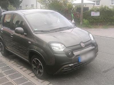 Gebraucht Fiat Panda 70 PS (51 kW) 2023 Grau Kleinwagen