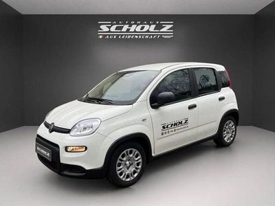 Usata Fiat Panda 70 CV (51 kW) 2024 Andere Berlina