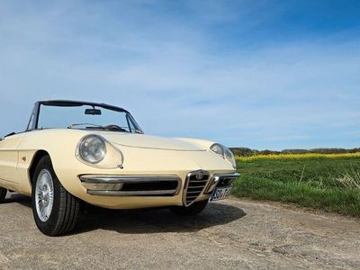 gebraucht Alfa Romeo 1750 SpiderRundheck Duetto