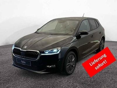Grau Neu 2025 Skoda Fabia Tour Kleinwagen | 23.290 € (Etwas zu teuer)