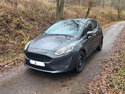 Grau Gebraucht 2020 Ford Fiesta Kleinwagen | 8.999 € (Guter Preis)