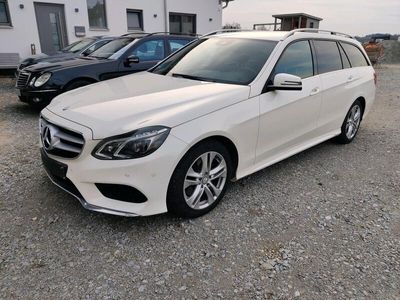 gebraucht Mercedes E220 CDI BlueEfficiency Kombi AMG Paket