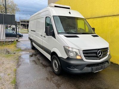 gebraucht Mercedes Sprinter Furgón 316CDI maxi kuhlfahrzeug