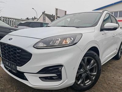 Gebraucht Ford Kuga ST-Line 190 PS (139 kW) 2023 Weiß SUV