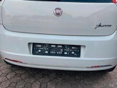 Usata Fiat Punto 65 CV (47 kW) 2009 Bianco Utilitaria