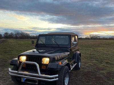 Gebraucht Jeep Wrangler 121 PS (88 kW) 1992 Schwarz SUV