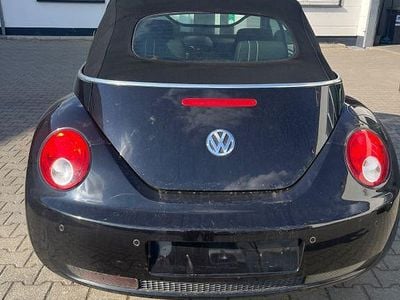 VW Beetle