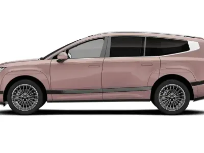Gebraucht Hyundai Ioniq 9