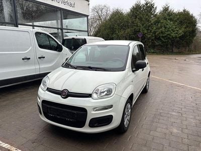 Gebraucht Fiat Panda Pop 69 PS (50 kW) 2019 Weiß Kleinwagen