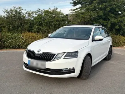 Gebraucht Skoda Octavia 190 PS (139 kW) 2019 Weiß Kombi