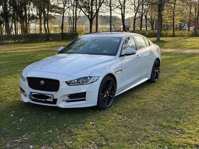 Occasion Jaguar XE 179 ch (131 kW) 2016 Blanc Berline