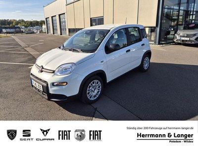 Gebraucht Fiat Panda 69 PS (50 kW) 2024 Weiß Kleinwagen
