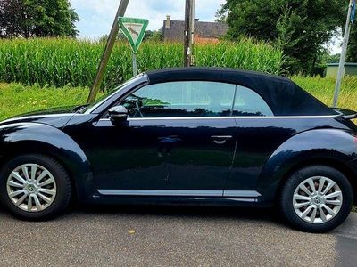 VW Beetle