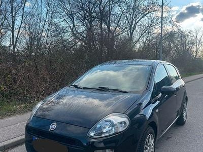 Gebraucht Fiat Punto Evo Dynamic 69 PS (50 kW) 2014 Schwarz Kleinwagen