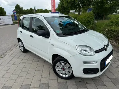 Usata Fiat Panda