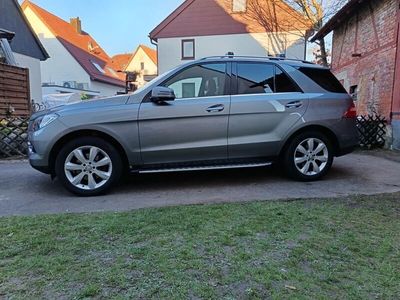 Mercedes ML250