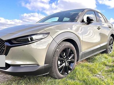 Gebraucht Mazda CX-30 Nagisa 150 PS (110 kW) 2024 Beige SUV