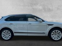 Neu Bentley Bentayga 551 PS (405 kW) 2025 Weiß SUV