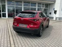 Gebraucht Mazda CX-30 Selection 179 PS (131 kW) 2020 Soul red crystal m SUV