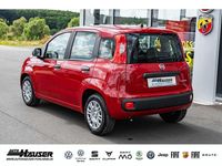 Gebraucht Fiat Panda 69 PS (50 kW) 2025 Rot Limousine