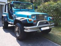 Gebraucht Jeep Wrangler 121 PS (88 kW) 1995 Blau SUV