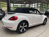 gebraucht VW Beetle Cabriolet Club High-Line DSG Navi
