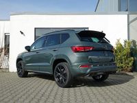 Neu Cupra Ateca 190 PS (139 kW) 2026 Green dark forest SUV