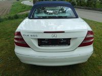 Gebraucht Mercedes CLK500 306 PS (225 kW) 2003 Alabasterweiss  unilack Cabrio