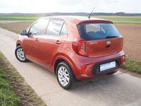 Gebraucht Kia Picanto 67 PS (49 kW) 2018 Orange Kleinwagen
