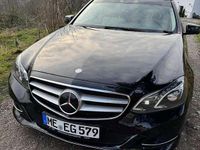 Gebraucht Mercedes E250 204 PS (150 kW) 2014 Kombi
